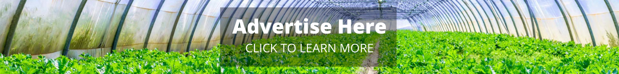 Advertise With NGMA 2