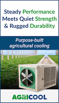 Phoenix Manufacturing