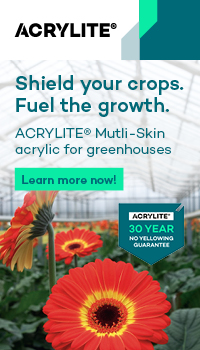 Polyvantis (acrylite)